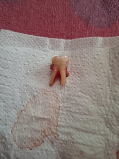 CLÍNICA DENTAL VISTA BELLA