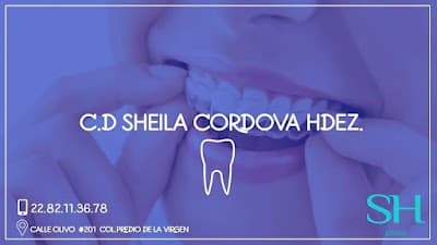 ✅ Dentista SH Dental