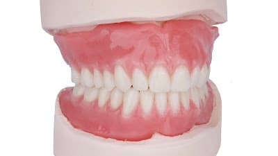 Dra. Alina Meza Ochoa