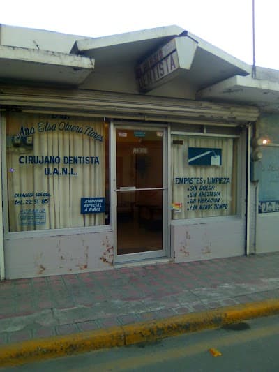 Dra. Ana Elsa Olvera Flores