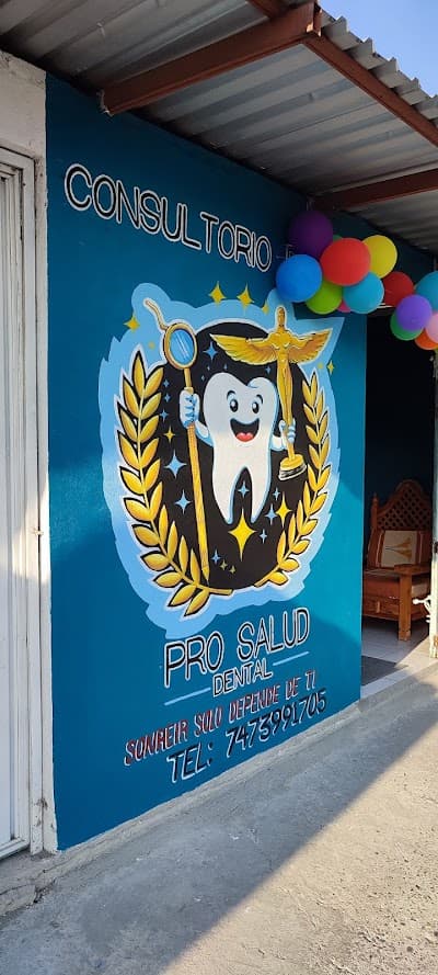 Pro Salud Dental