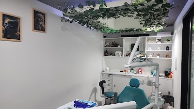 Break Dental Del Valle