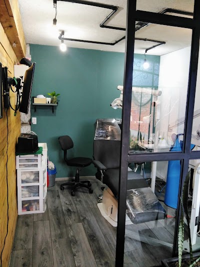 DENTAL HAUS Odontología Integral