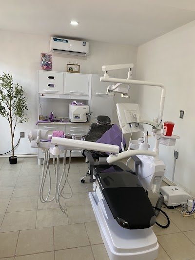 DENTAL STUDIO KG