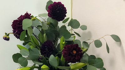 Dentista. Ética Dental