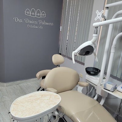 Dra. Denisse Loreth Palomera Torres