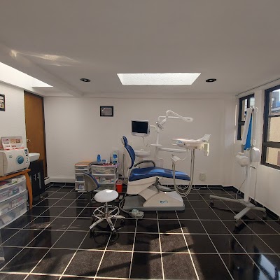 Dra Karina Pedraza "Cirujano Dentista"