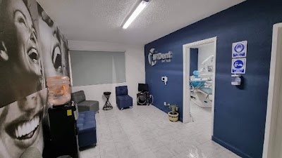 Dra. Mara Patricia Cercas López, Dentista - Odontólogo