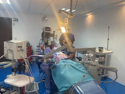 Dra. Mayra Zapata Landeros, Dentista - Odontólogo