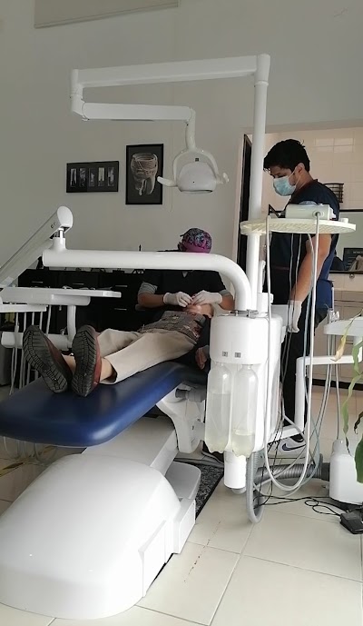 The Happy Tooth Dentista Mérida